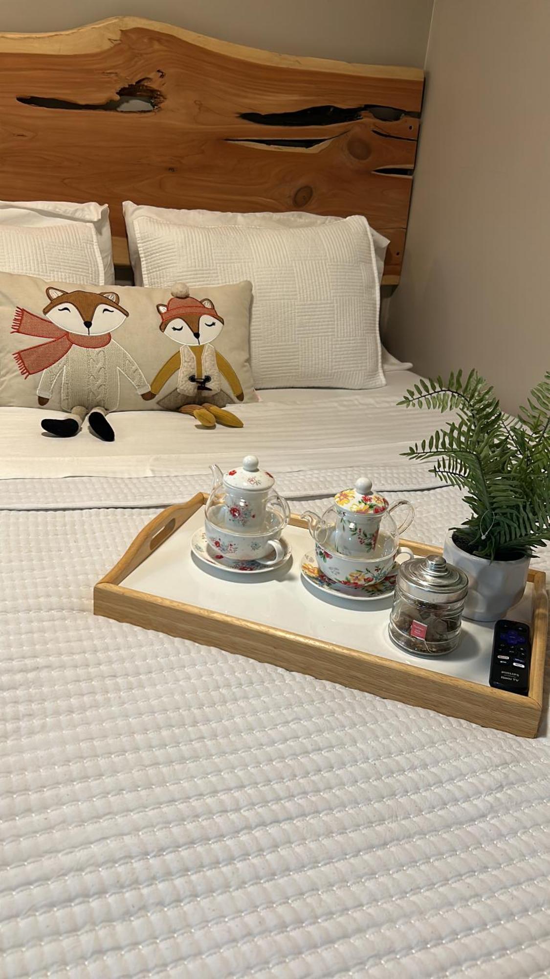 Sweet Tiny Cabin แทมปา ภายนอก รูปภาพ